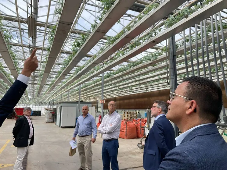 El conselleiro de Medio Rural conoció en Portugal los viveros del Furadouro, del grupo empresarial Altri, que producen anualmente unos siete millones de plantas forestales.