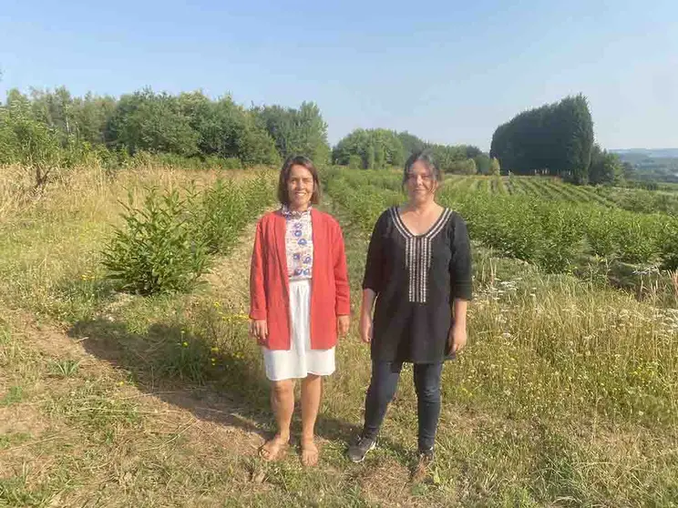 La directora de la Agencia Gallega de Innovación, Patricia Argerey, visitó esta mañana la empresa fradense Boibel Forestal.