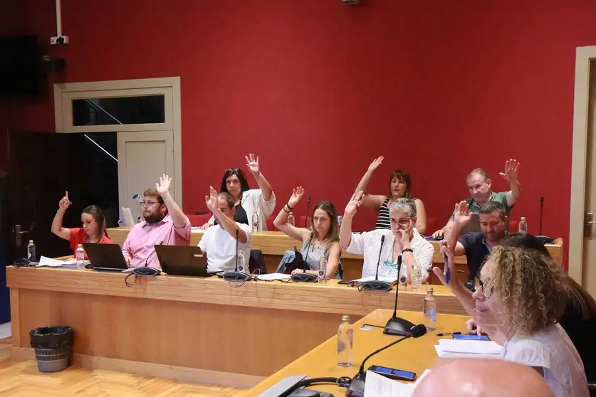 ordenanza-reguladora-vaos-ponteareas