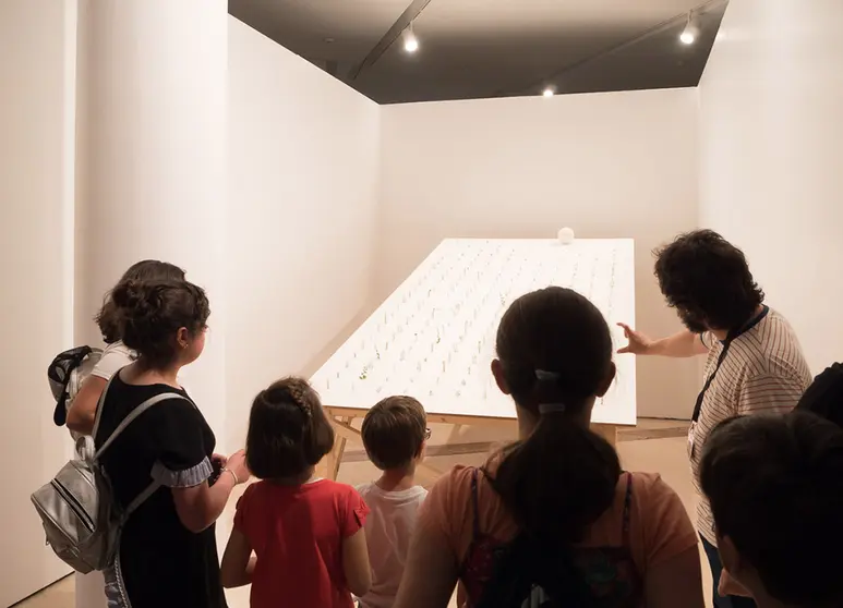 Trátase dunha actividade pensada para fomentar os valores de solidariedade, igualdade e corresponsabilidade a través da arte, a maxia, a música e o deporte.