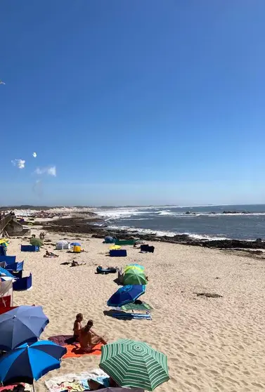 "Olhei bem para ela e parecia me rivalizar, em agitação, com as ondas marinhas!".
