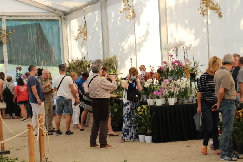 Exposición Internacional de Orquídeas, en Salvaterra, 2019. ARQUIVO.