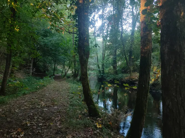 Sendeiro do río Uma.