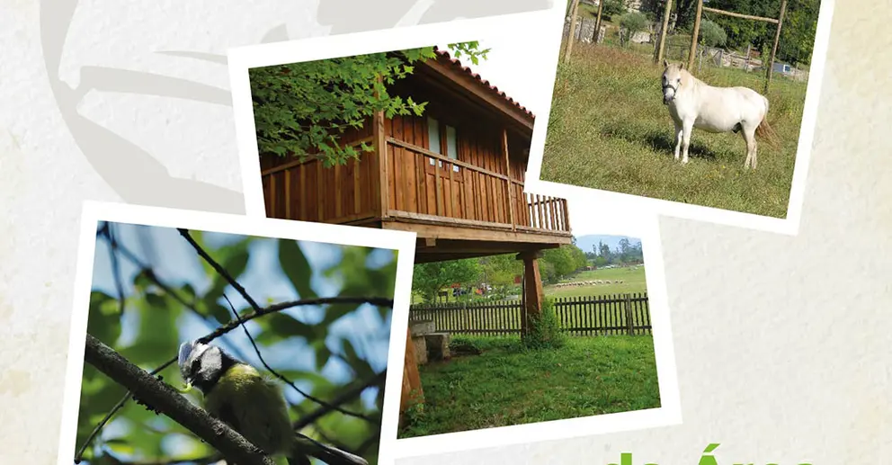 Fragmento do Cartaz.