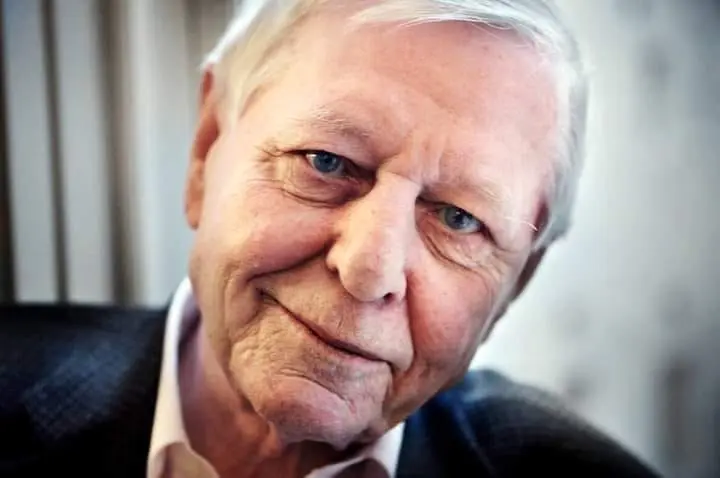 Hans Magnus Enzensberger.