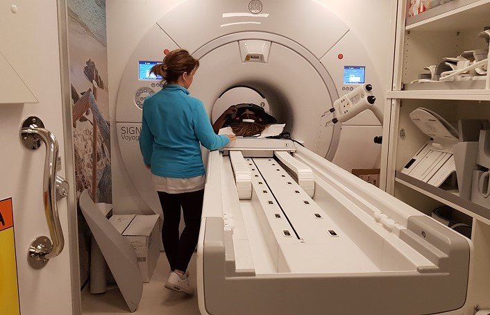 Los dos trabajos presentados por la unidad hablan de las múltiples ventajas que ofrece la resonancia magnética frente a otros sistemas de diagnosis.
