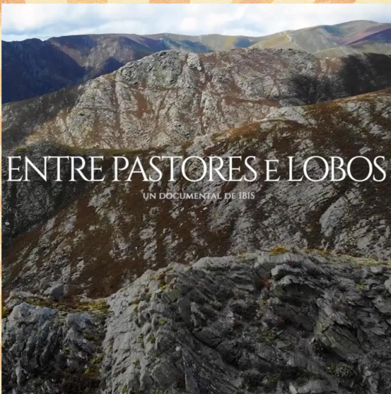 Entre pastores e Lobos (Imprimir)