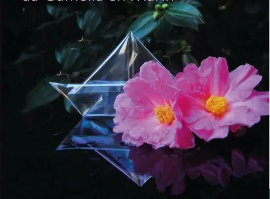 Fragmento del cartel.