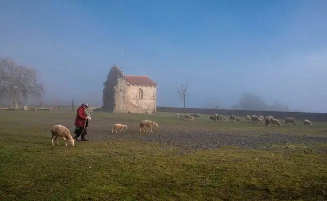Capela da Senhora da livração de Fandinhães.
