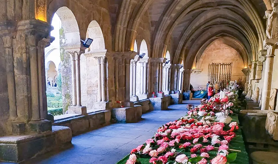 Mostra Camelia 2022. ARQUIVO,