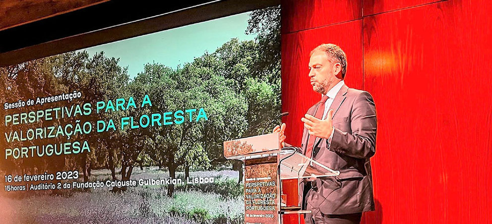 Ministro do Ambiente da Ação Climática, Duarte Cordeiro, interveio na sessão de apresentação do estudo «Perspetivas para a valorização da Floresta Portuguesa», Lisboa