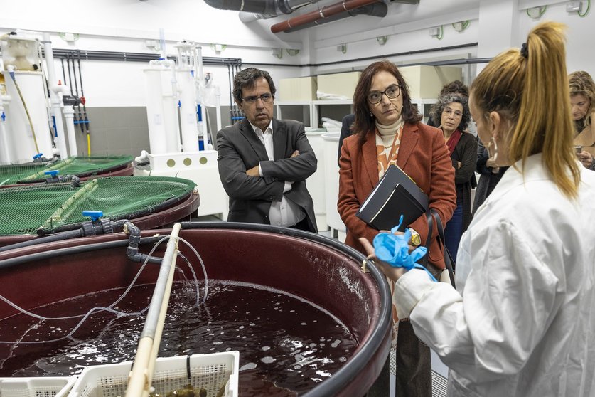 Ministra da Ciência, Tecnologia e Ensino Superior, Elvira Fortunato, visitou o Laboratório Experimental para Organismos Aquáticos (LEOA) da Universidade do Algarve, no âmbito do «Governo mais próximo», Faro,