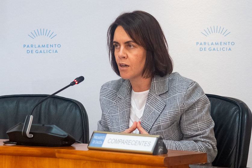 A directora da Axencia Galega de Innovación, Patricia Argerey, compareceu esta mañá no Parlamento de Galicia para explicar a futura norma.