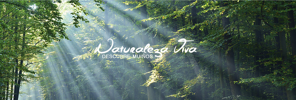 'Naturaleza viva', el lema promocional turístico de Muiños.