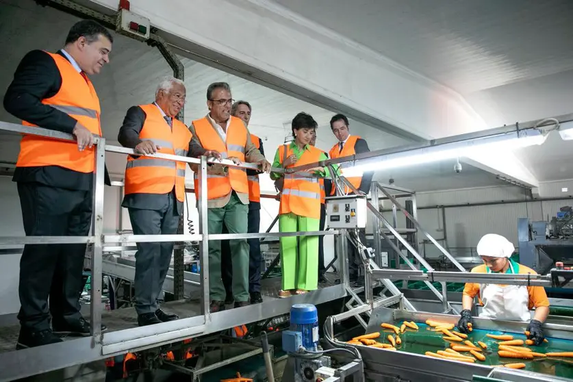 Primeiro-Ministro António Costa e Ministra da Agricultura e Alimentação, Maria do Céu Antunes, visitam instalações industriais da empresa agrícola Primhorta, Montijo.