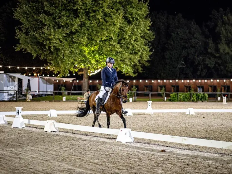 A introdução da modalidade de Dressage (Ensino), em exclusivo para Garranos, resulta num facto histórico que acontece de forma inédita em todo o mundo.