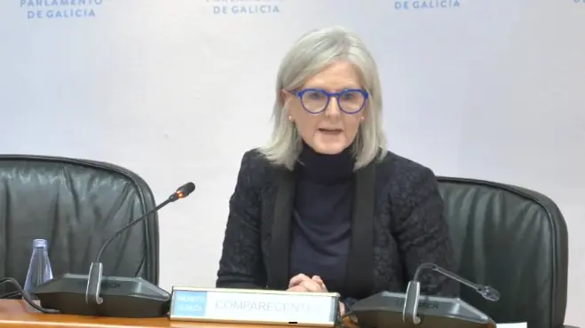 La directora del Igape, Covadonga Toca, avanzó que los presupuestos del Instituto para lo próximo año llegarán casi hasta los 213 millones de euros, una subida de algo más del 3% que permitirá tanto la reducción de burocracia administrativa para atraer nuevas inversiones como la consolidación de la apuesta por la internacionalización y la financiación.