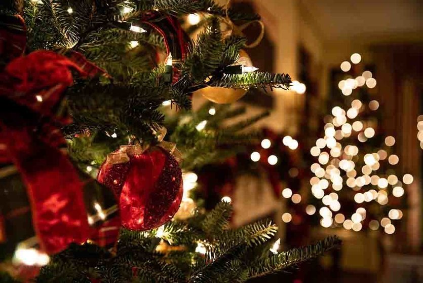 Optar por luces LED y calcular su consumo te permitirá disfrutar de la decoración navideña sin afectar significativamente tu factura.