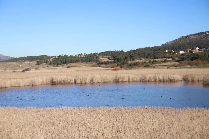 Tras esta última revisión son xa 650 os elementos catalogados no conxunto da Comunidade, abranguendo unha superficie total de máis de 45.000 hectáreas.