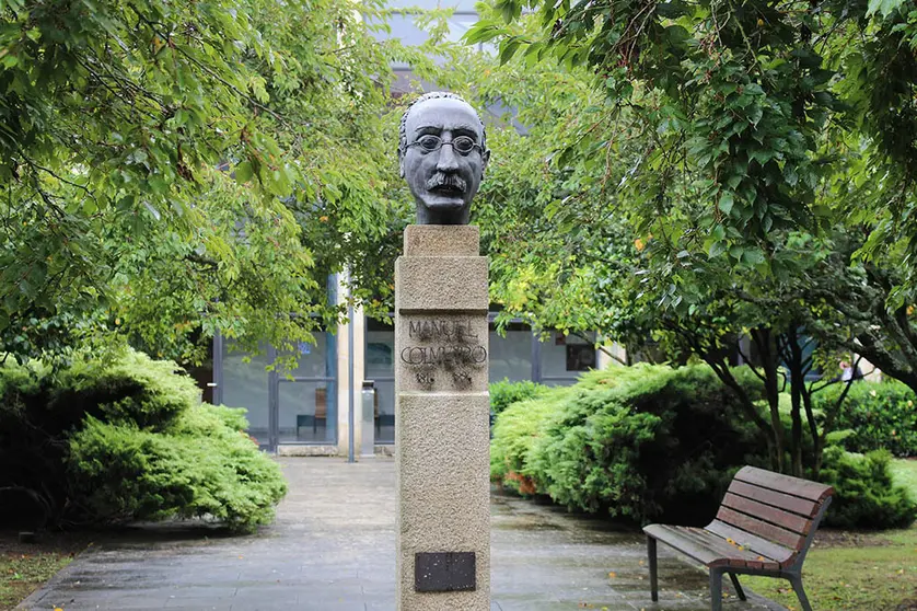 Busto de Colmeiro.