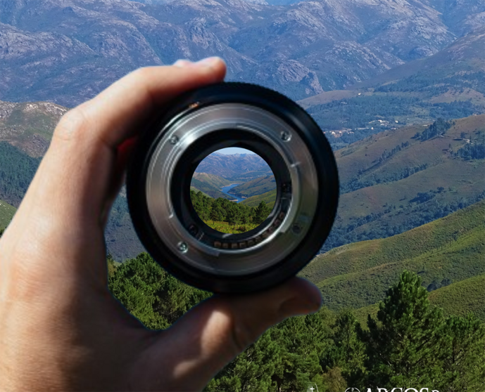 O primeiro classificado receberá um prémio em dinheiro no valor de 750,00 €.