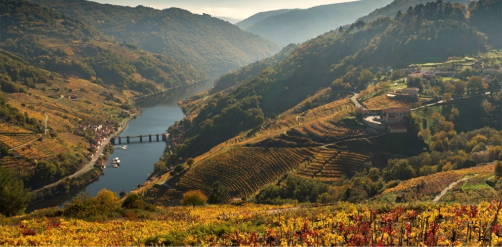 Paisaxes da Ribeira Sacra.