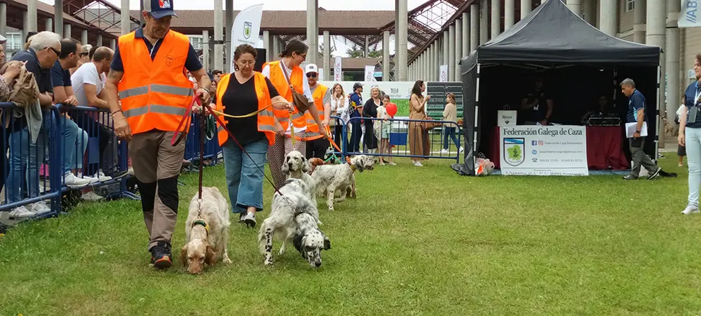 Presentación Cans de Caza en Fecap Abanca 2023. ARCHIVO.