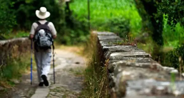 El Consejo de Europa distinguió el Camino de Santiago cómo Primer Itinerario Cultural en 1987. ARCHIVO.