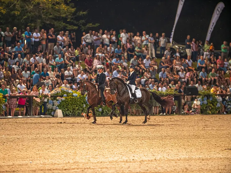 feira-cavalo-ponte-de-lima