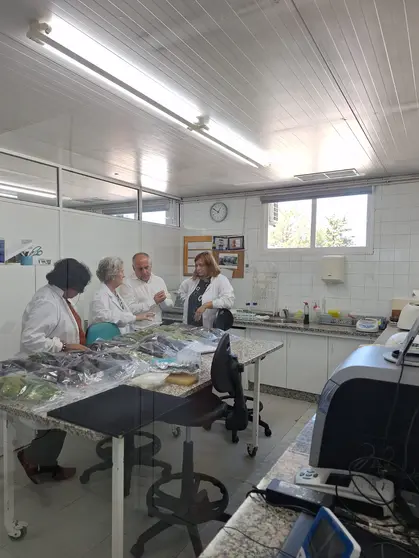 Mediante el uso de sensores y algoritmos, se pretende mejorar la gesti&oacute;n de los cultivos de kiwi, aumentando la productividad y la sostenibilidad del sector.