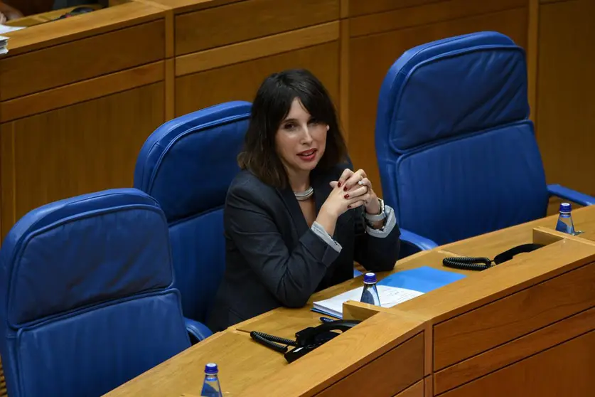 Lorenzana califica la Ley de recursos naturales, aprobada hoy, como la mayor reforma en materia industrial y energ&eacute;tica de los &uacute;ltimos a&ntilde;os en Galicia.