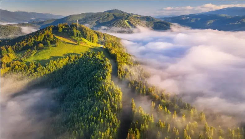 Galicia se alía con cinco regiones europeas en un proyecto que destinará 9,3 M€ a buscar soluciones innovadoras de adaptación al cambio climático.