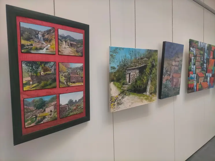 Un aspecto da exposición.