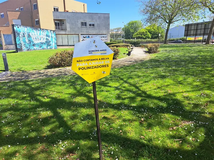 Esposende Ambiente estão a preservar espaços públicos da cidade com prado florido.