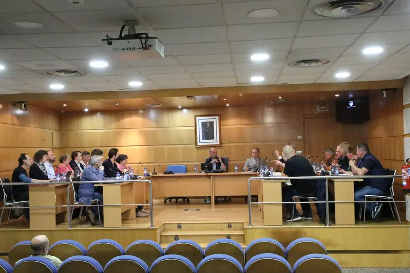 O Pleno municipal aproba a sinatura dun convenio marco de colaboración que reforza os 
vínculos culturais entre Galicia e Madrid arredor da obra do arquitecto porriñés.