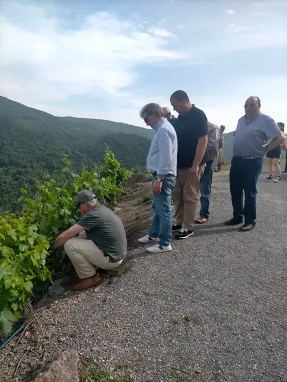 La Orden de los Cabaleiros de Vigo explora la Ribeira Sacra en una jornada de vino, historia y paisajes.