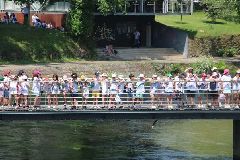 Milhares de crianças abraçam o rio Vez em Arcos de Valdevez.