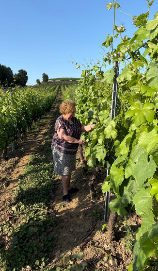 Elisa Collarte, Premio Vida entre Vides D.O. Ribeiro, un reconocimiento a su pasión y dedicación a la viticultura tradicional.