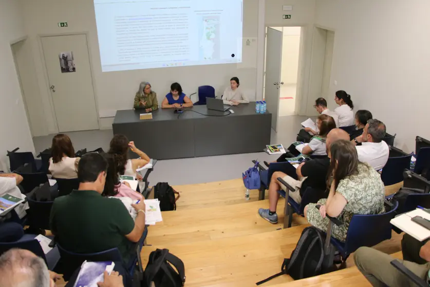Visión general del auditorio durante la sesión pública, con los relatores preparados para presentar el programa de reordenamento da paisaxe.