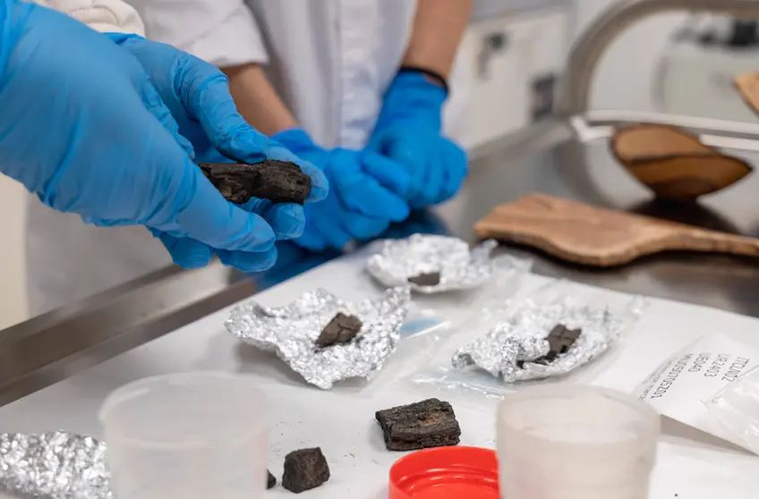 Tecnología de vanguardia al servicio del pasado: Una mirada al Laboratorio de Arqueobotánica del INCIPIT-CSIC, clave para desvelar los secretos de las plantas en la prehistoria y el mundo romano.