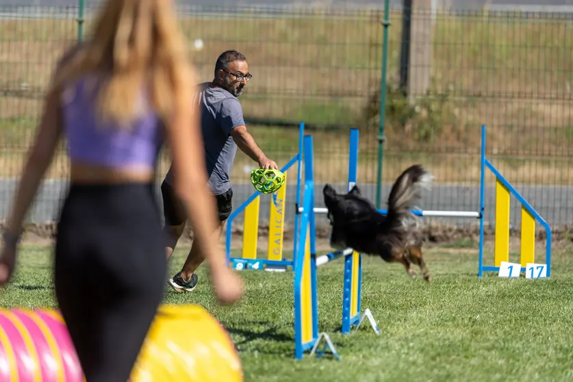 Seminario celebrado esta tarde como previa da Galican Agility Cup.
