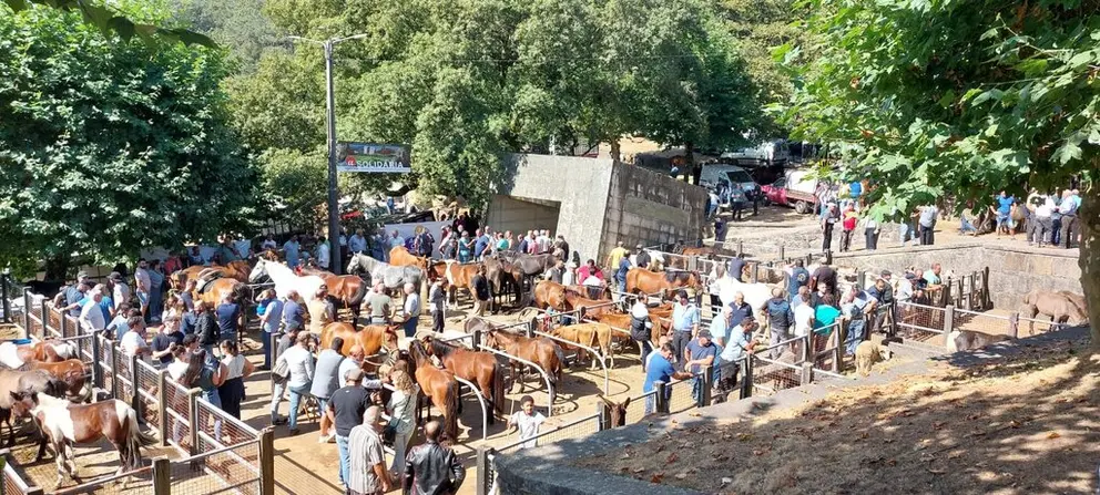 Vista aérea de la Feira Tradicional Interfreguesias, donde los animales autóctonos como la vaca cachena y el caballo garrano son los protagonistas del certamen pecuario.