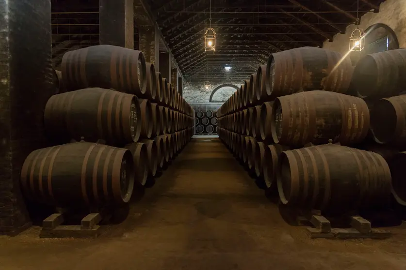 El tiempo, el silencio y la esencia de siglos se guardan entre las paredes de una bodega andaluza, donde los barriles de soleras y criaderas atesoran los secretos de los vinos generosos.