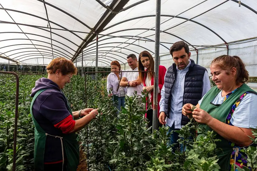 La conselleira María José Gómez, junto a trabajadores de Flores Casabella, destaca el compromiso de la Xunta con el pujante sector gallego de la planta ornamental y flor cortada, motor económico y de empleo rural.