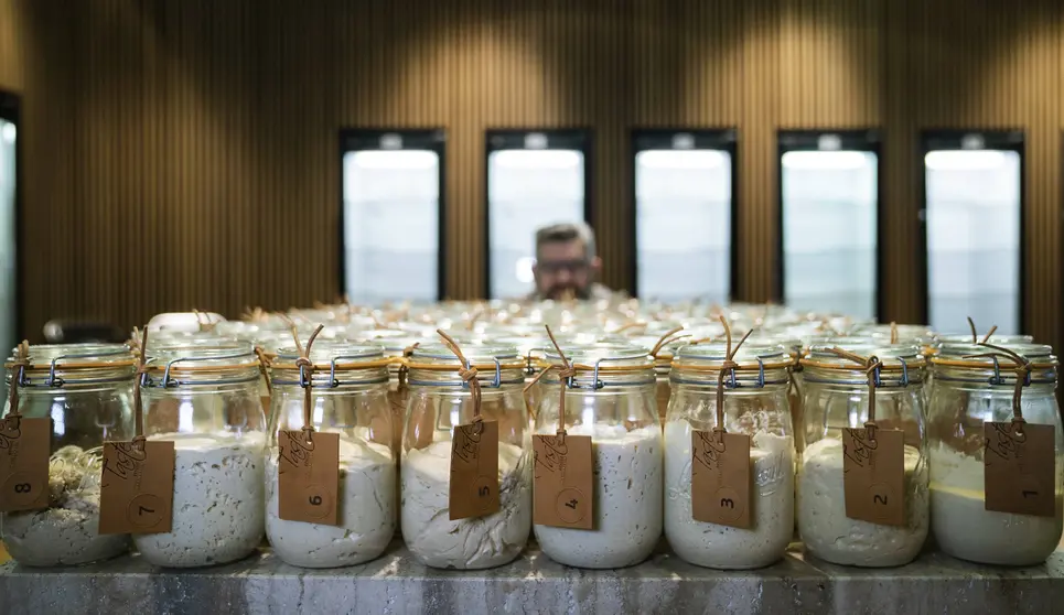 Diversas muestras de masa madre, ingrediente clave en la elaboración de pan, revelan la variedad y tradición detrás de este fermento natural.