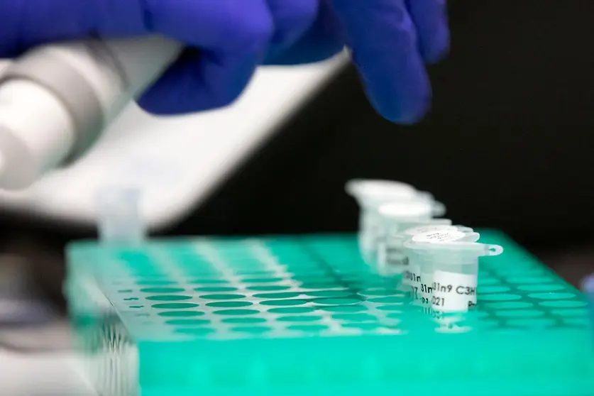 Detalle del espacio de investigación donde se desarrollarán los nuevos proyectos impulsados por la Red CIGUS.