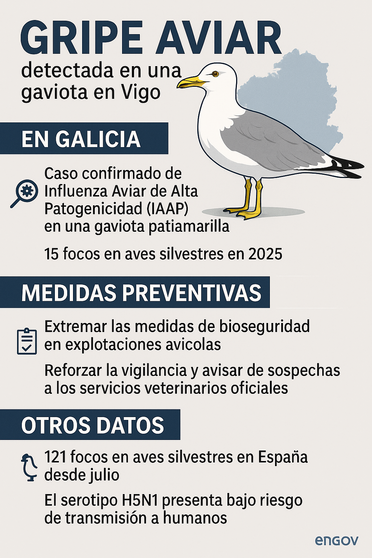 ChatGPT Image 29 nov 2025, 00_19_06