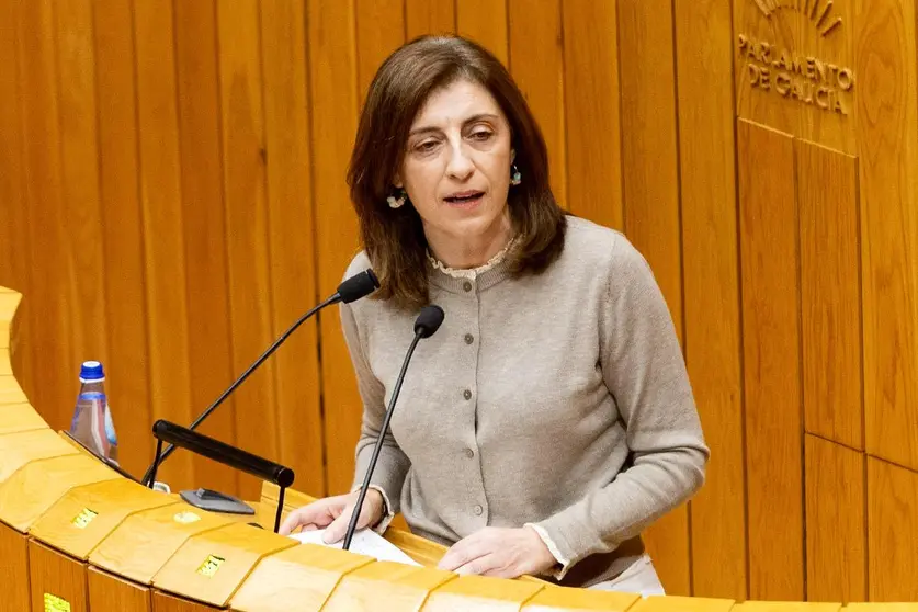 La conselleira de Medio Ambiente, Ángeles Vázquez, durante su intervención en la tribuna del Parlamento de Galicia.