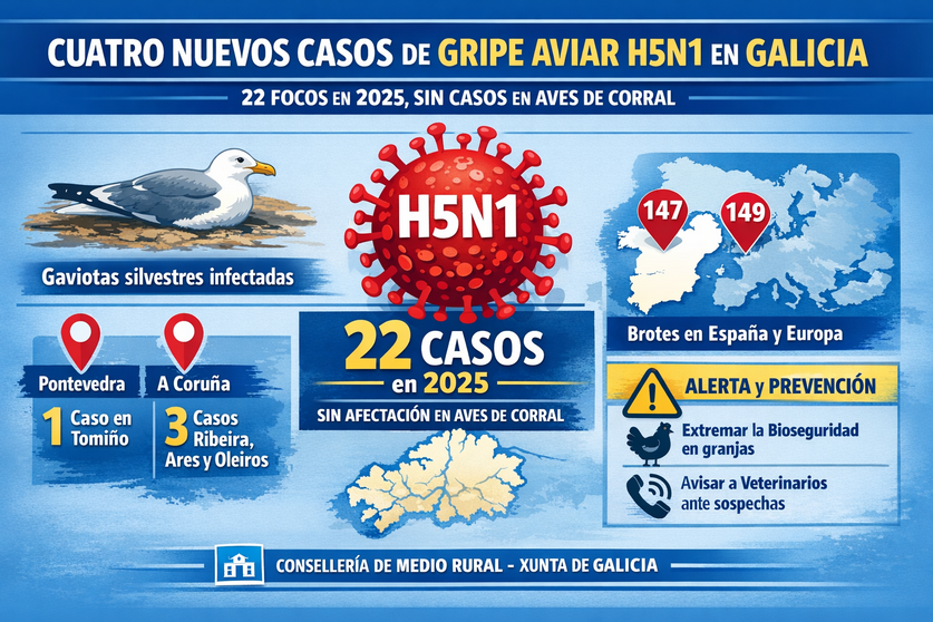 Infograf&iacute;a DL-G.
