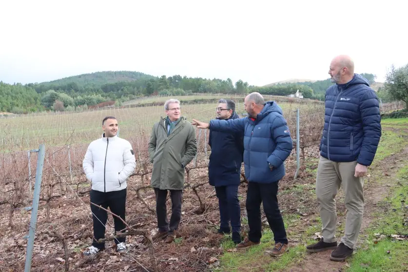 El delegado territorial de la Xunta en Ourense, Manuel Pardo, durante su visita a vi&ntilde;edos de la DO Monterrei en Ver&iacute;n, donde supervis&oacute; actuaciones de mejora en la bodega Pazo de Valdeconde apoyadas con ayudas auton&oacute;micas.